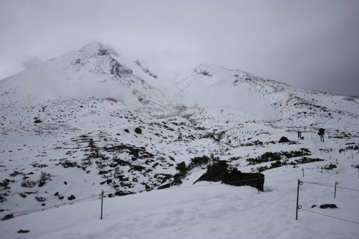 _MG_3740.JPG