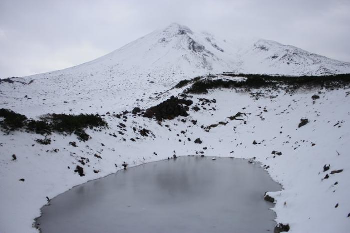 _MG_3733.JPG