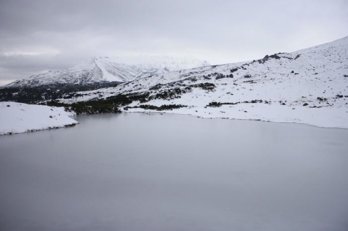 _MG_3738.JPG