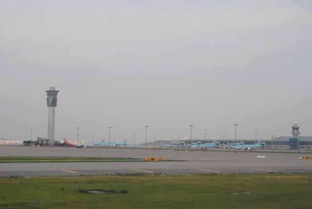 DSC_1241.JPG