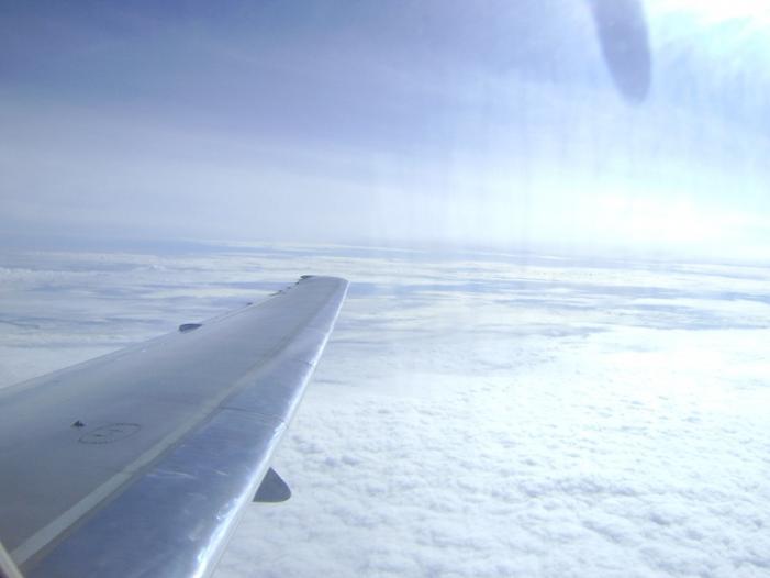 DSC03333.jpg