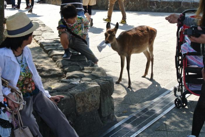 DSC_1623_resize.JPG