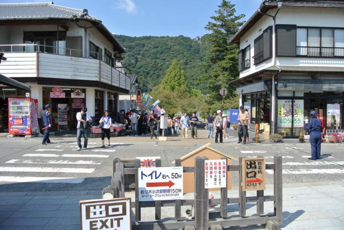 DSC_1598_resize.JPG