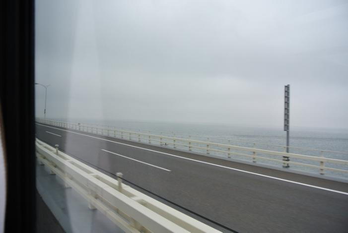 DSC_1307_resize.JPG