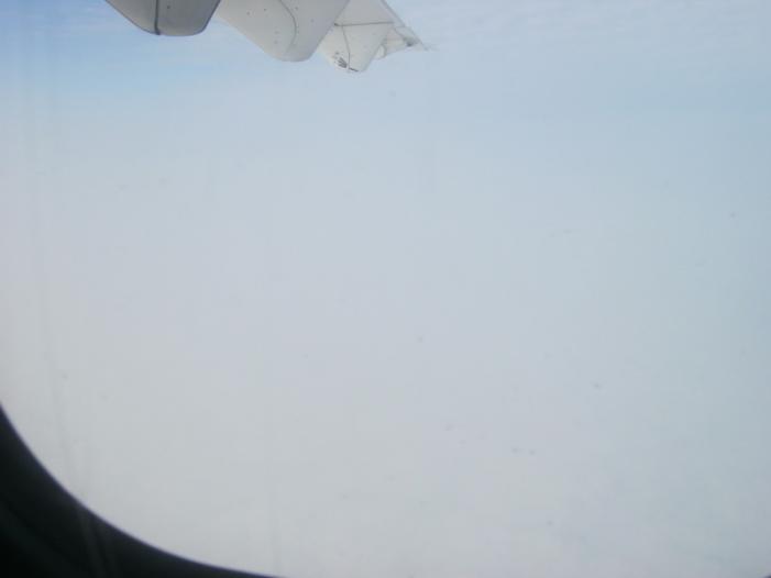 IMG_0330_resize.JPG