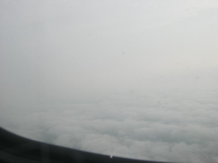 IMG_0329_resize.JPG