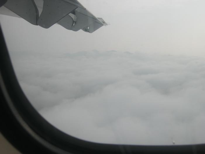 IMG_0331_resize.JPG