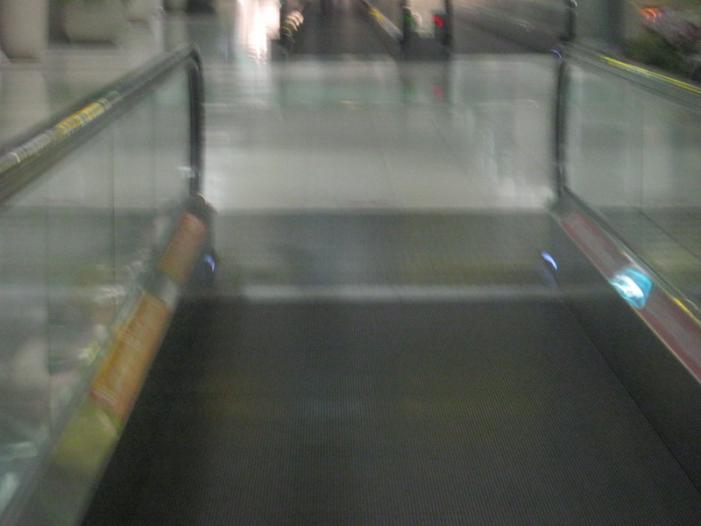 IMG_0275_resize.JPG