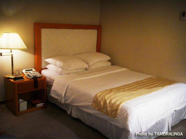 SDC10653.jpg