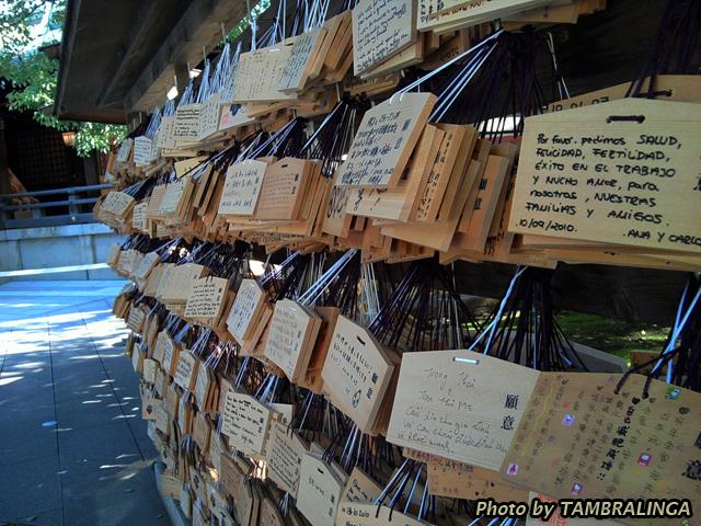 รูปถ่าย0259.jpg