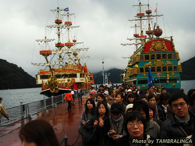 SDC11237.jpg