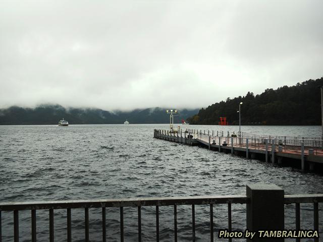SDC11208.jpg