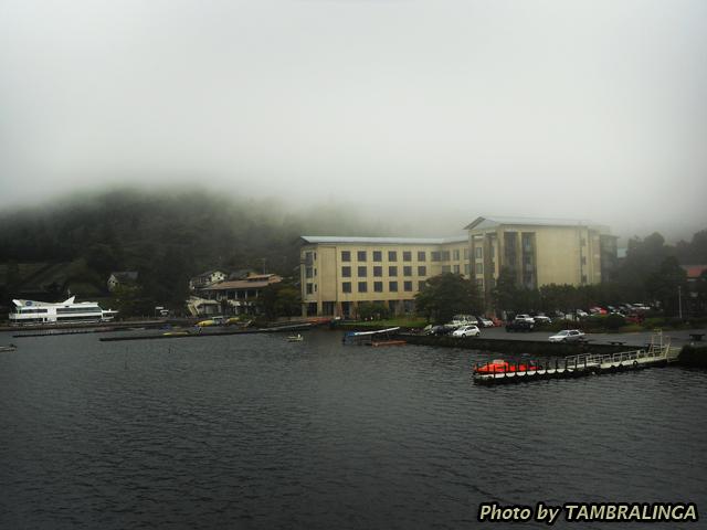 SDC11223.jpg