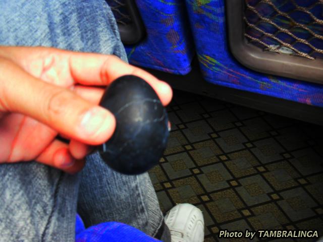 SDC11251.jpg