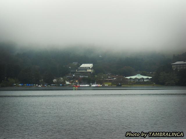 SDC11231.jpg