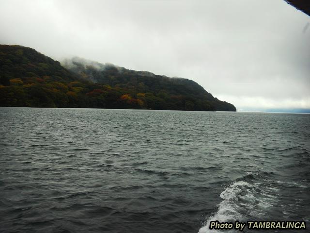 SDC11235.jpg