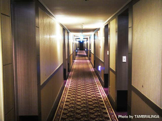SDC10650.jpg