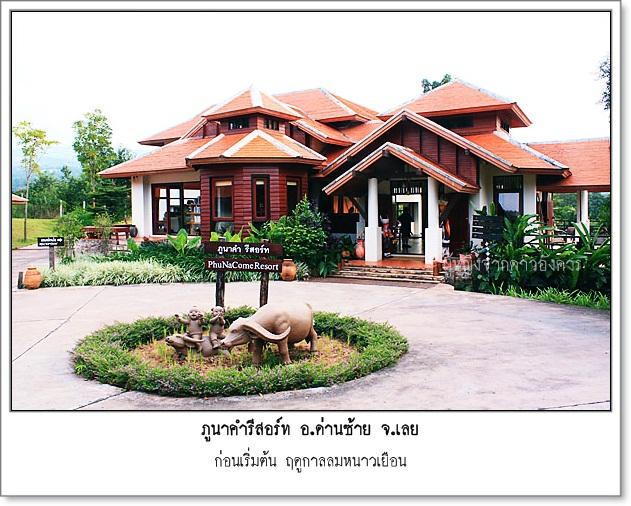 small-pnk001.jpg
