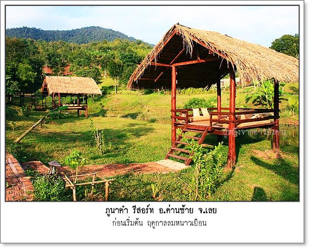 small-pnk012.jpg