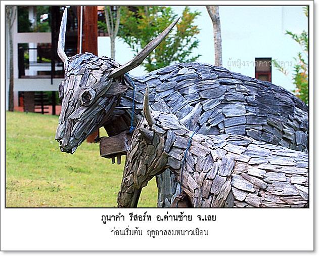 small-pnk016.jpg