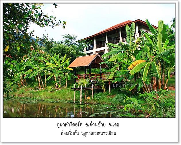 small-pnk005.jpg