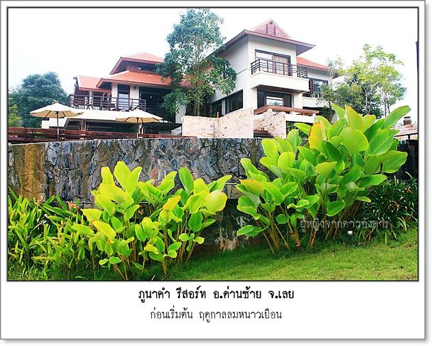 small-pnk017.jpg