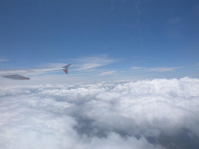 DSCN8450.JPG