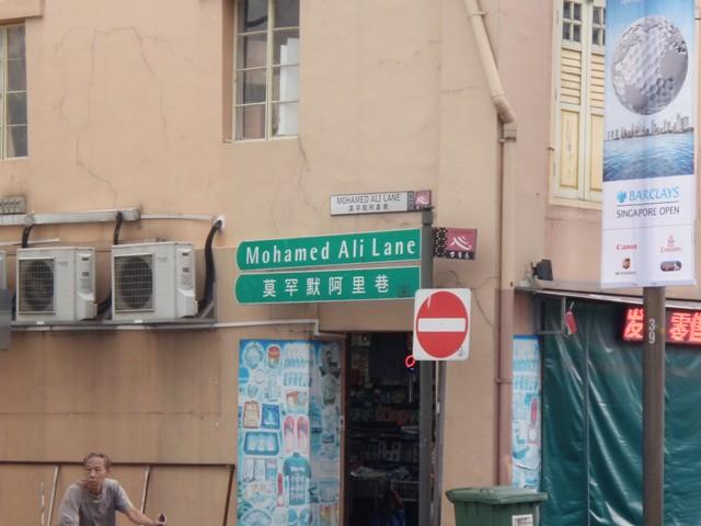 PA260070.JPG