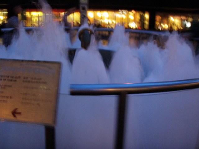 PA260160.JPG