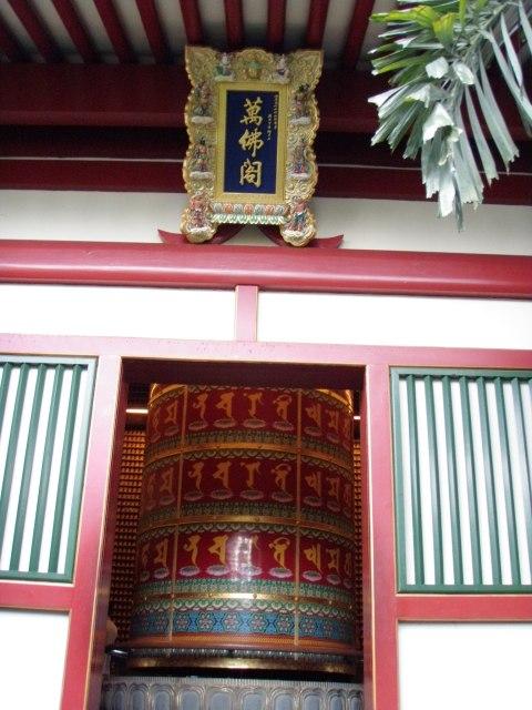PA260093.JPG