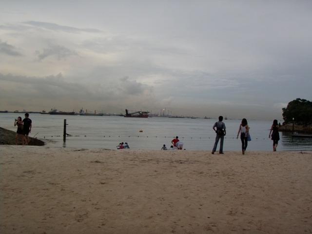 PA270310.JPG