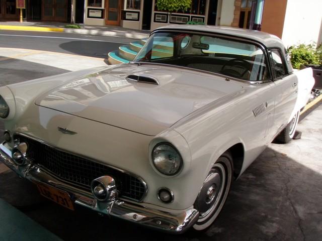 PA270196.JPG