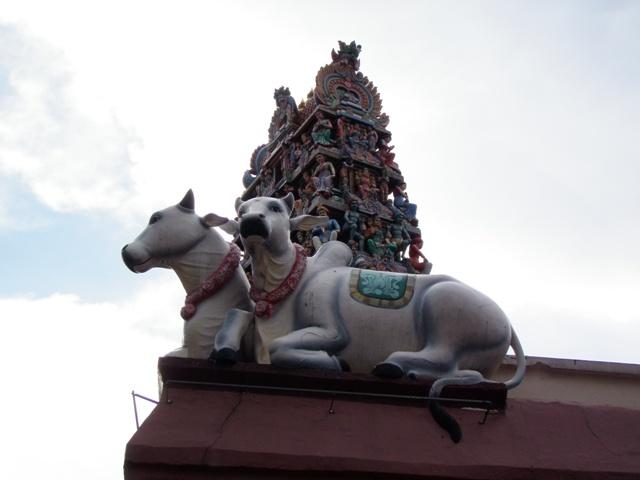 PA260067.JPG