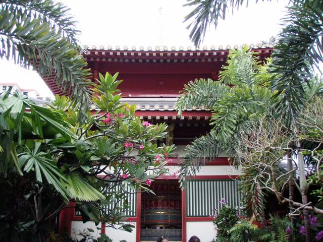 PA260092.JPG