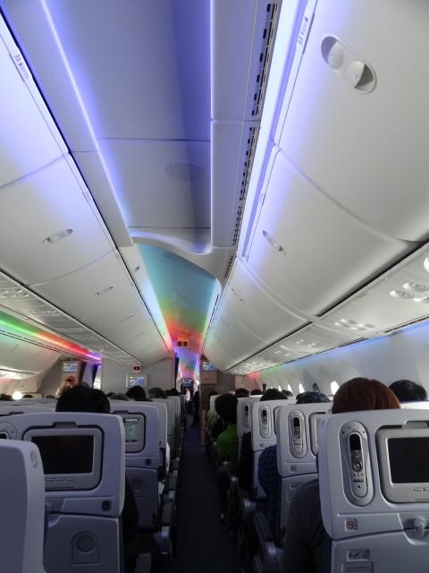 DSC00232.jpg