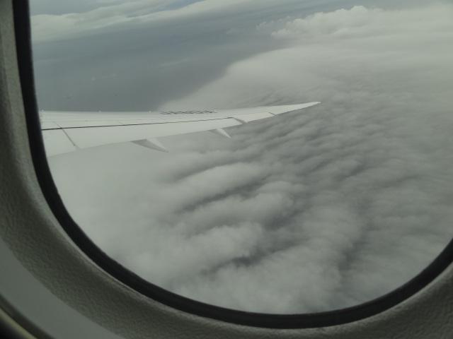 DSC00201.JPG