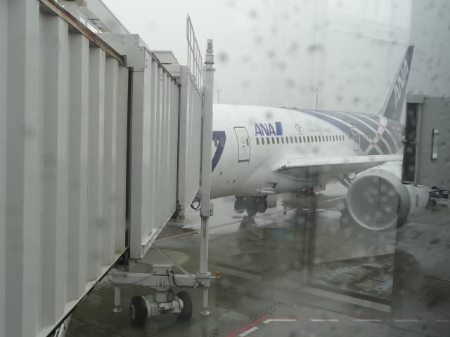 DSC00169.JPG