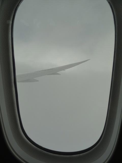 DSC00207.jpg