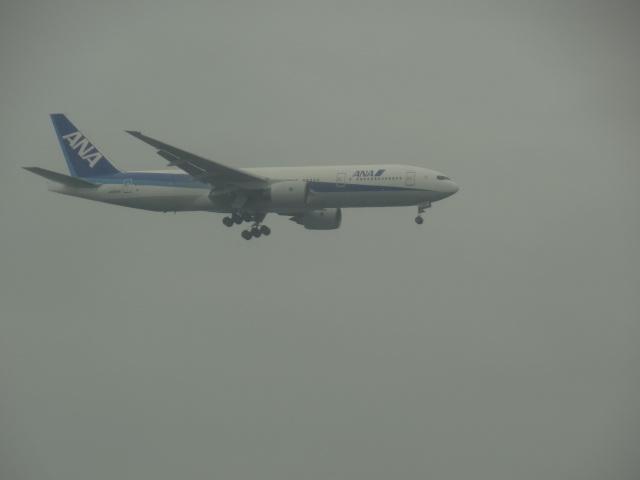 DSC00198.JPG
