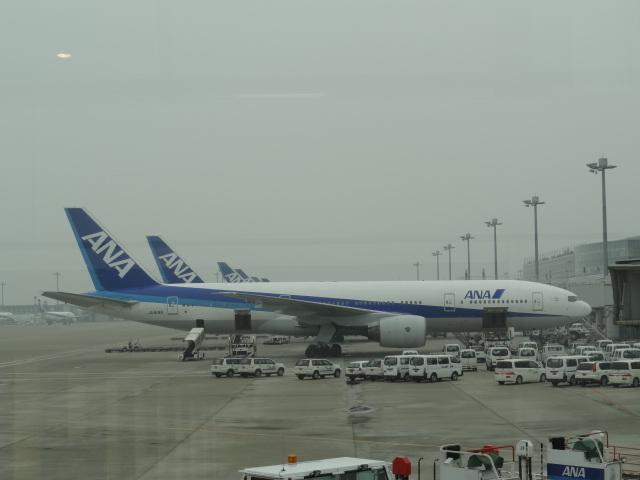 DSC00371.JPG