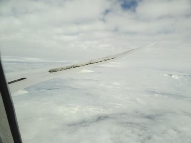 DSC00263.JPG