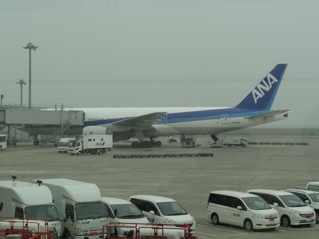 DSC00375.JPG