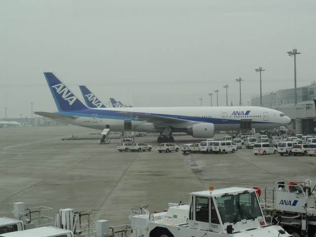 DSC00370.JPG