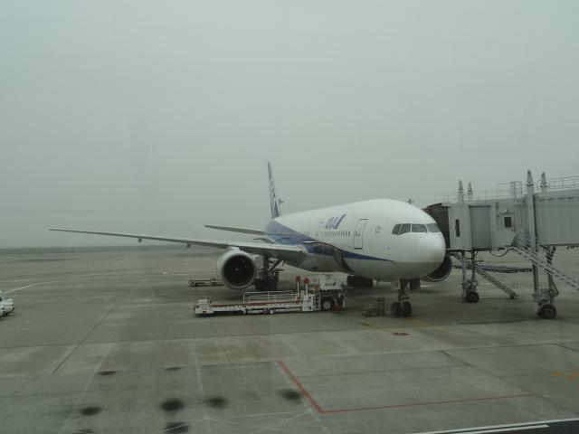 DSC00377.JPG