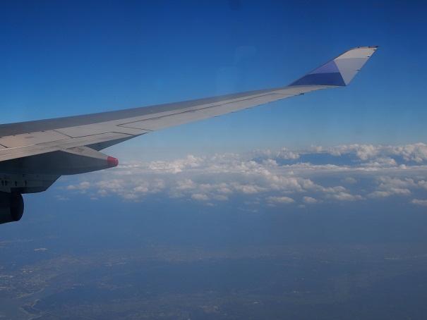 P1013223.JPG