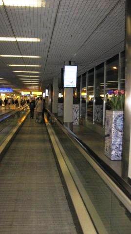 IMG_1133.jpg