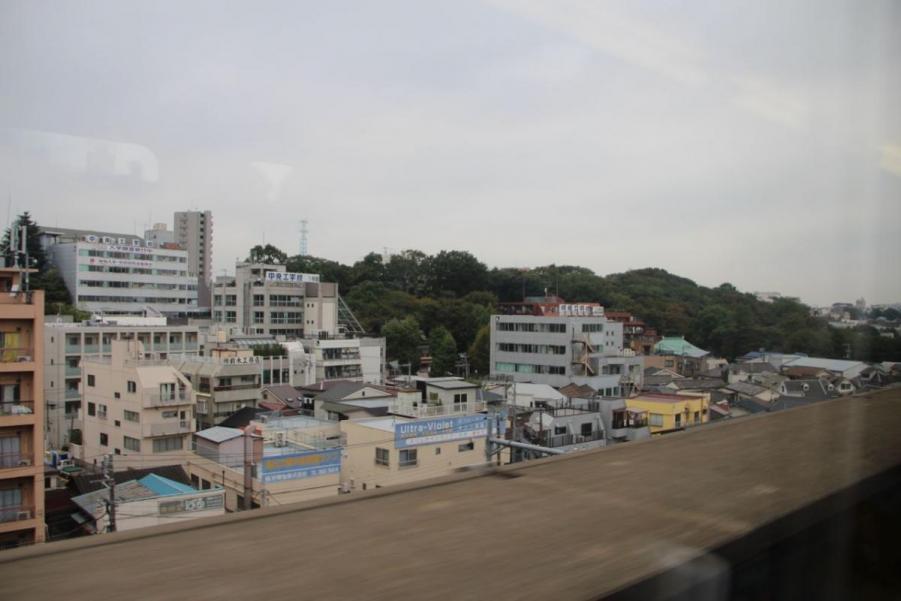 IMG_7096.jpg