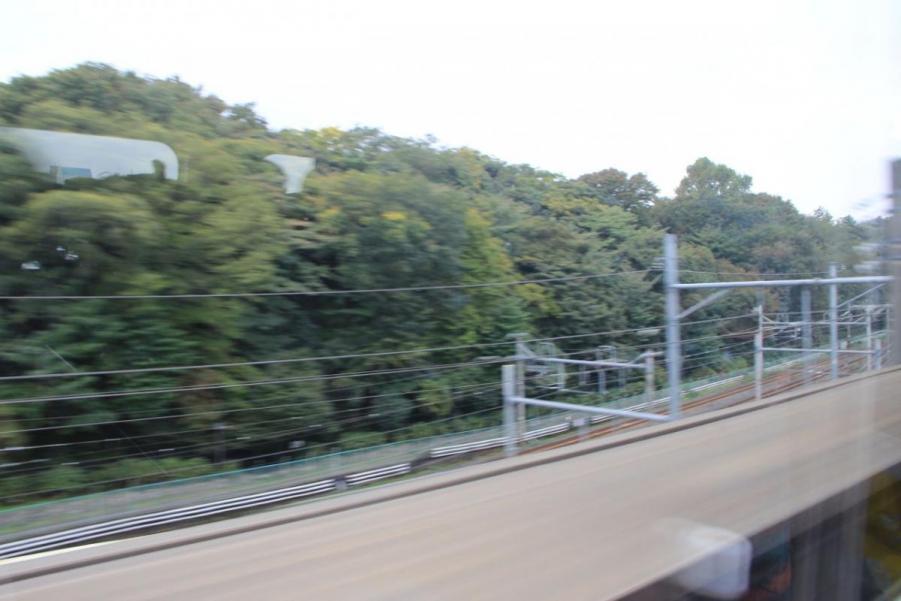 IMG_7095.jpg