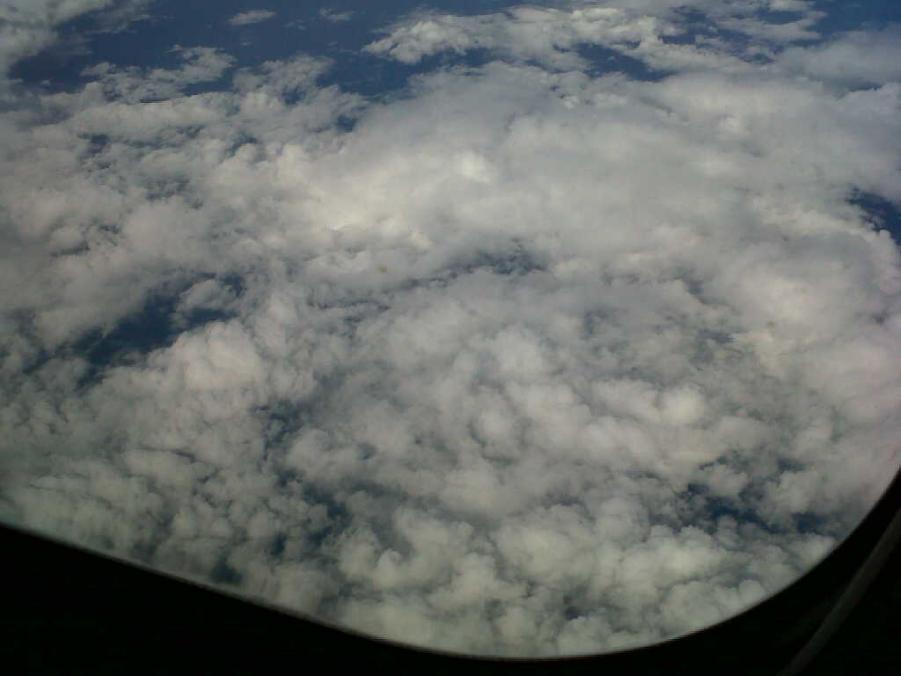 IMG00543-20130608-1609.jpg