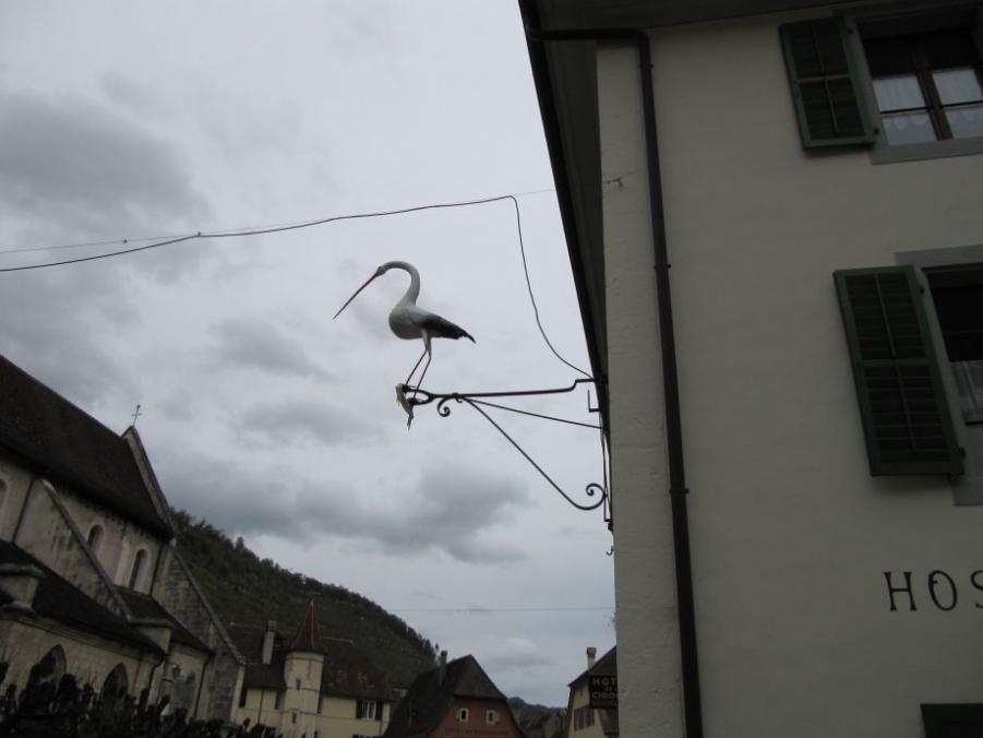 IMG_3747.JPG